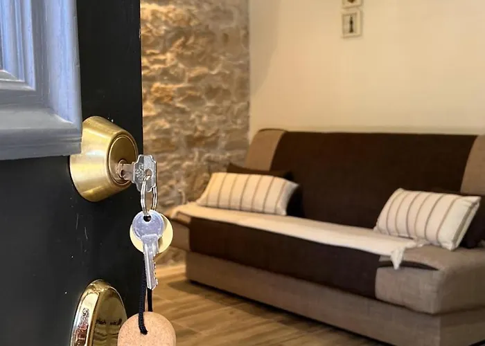 Novak * 벨라루카