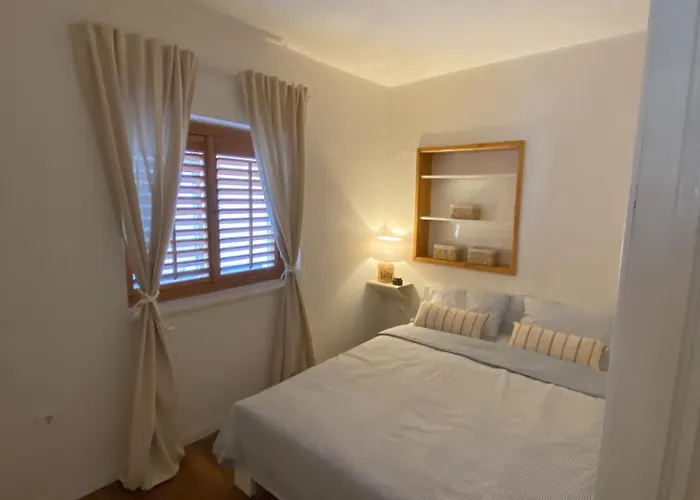 Novak * 벨라루카