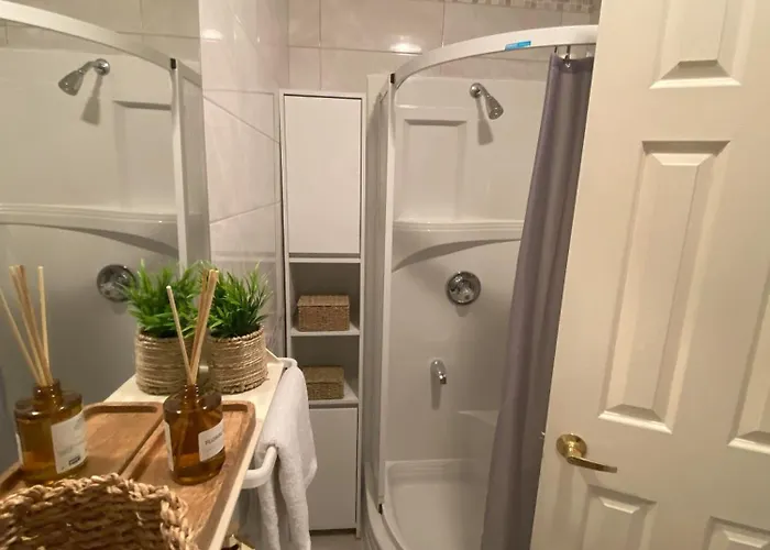 Novak * 벨라루카